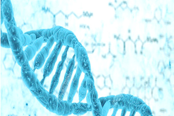 Alevel生物呼吸作用知识点讲解 这些基础知识才是你需要重点关注的内容图片_1