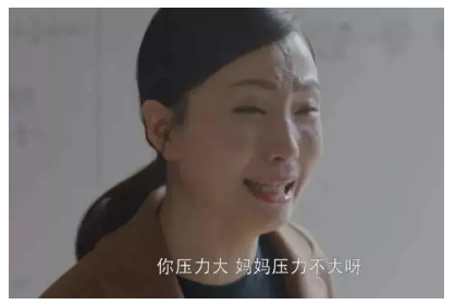体制内学员如何应对国际课程留学压力呢？如何才能避免鸡娃局面内容图片_3