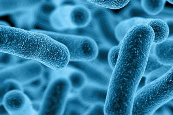 怎么准备​AP生物实验呢？这几个常考的生物实验一定要记熟内容图片_2