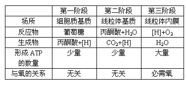 AP生物细胞呼吸考点讲解 呼吸的三个阶段比较你分的清吗内容图片_1 AP生物细胞呼吸考点讲解 呼吸的三个阶段比较你分的清吗内容图片_1