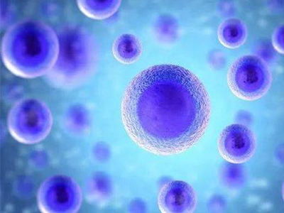 历年IB生物高频考点分享 考点虽少但内容很丰盛哦内容图片_1