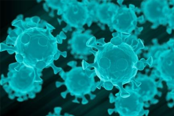 IB生物预习方法预警  秋季入学的伙伴这几个学习方法要记牢内容图片_2