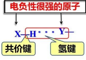 AP化学氢键知识点分享  还不来检测自己的化学知识点掌握程度内容图片_1