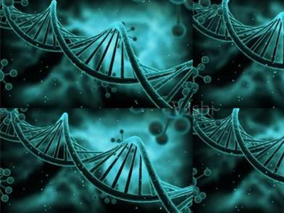 部分常见的IB生物考点分享 IBDP这样准备复习才有效