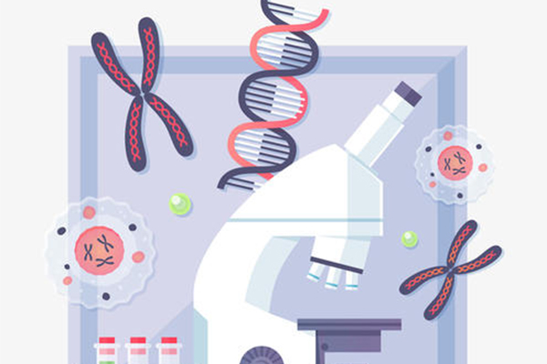 IB生物得分要点来了 这些大多数同学都会犯的错误可千万要避免内容图片_2