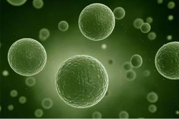 Alevel生物细胞知识点讲解  这么多的考点让你告别无效复习内容图片_2