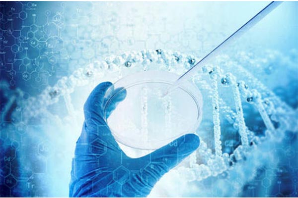 AP加餐AP生物简答题应试技巧来了 这些让你离理想分更近一步内容图片_2