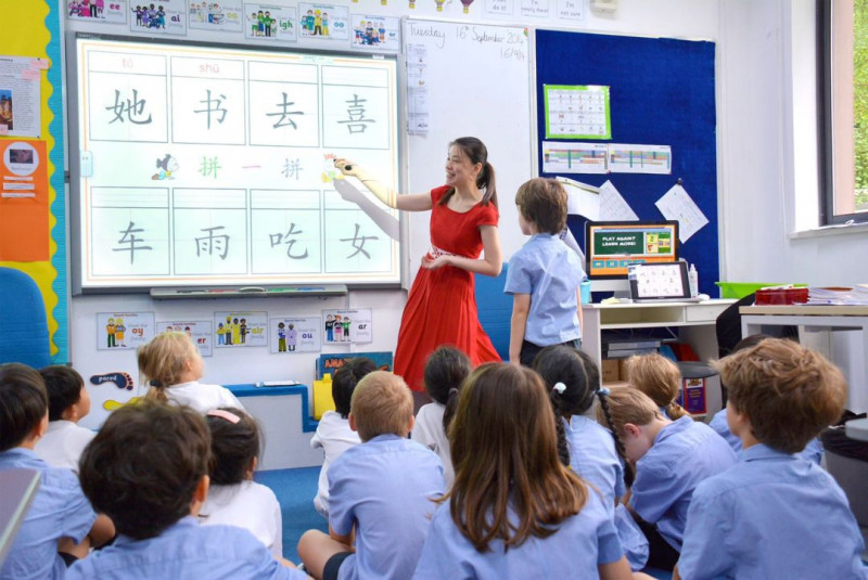 上海耀中国际学校怎么样？学费 录取成绩 招生要求快速了解内容图片_2