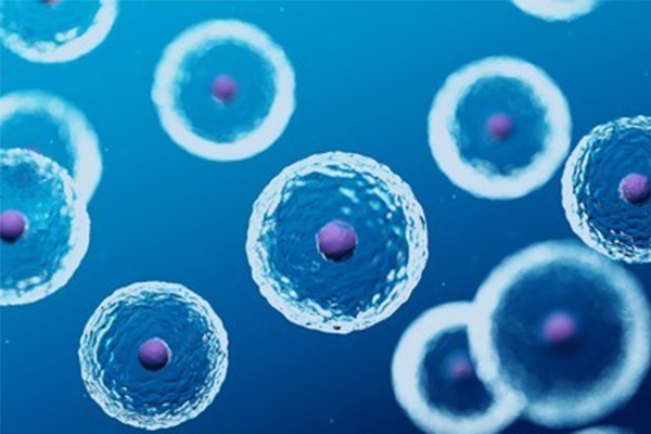 Alevel生物细胞知识点讲解  这么多的考点让你告别无效复习内容图片_1