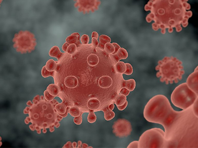 IB生物拿7分很难吗？在IB选课前这些IB生物难点同学们都了解清楚了吗？内容图片_1