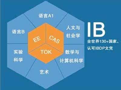 IB英语写作议论文怎么写  赶紧来记住这3要素
