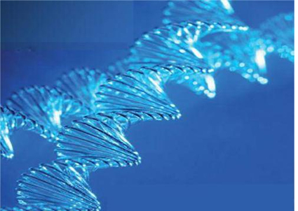 Alevel生物专业词汇分享  这份术语清单预习课程的你一定要收好
