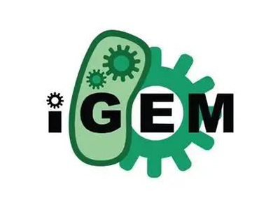 如何准备2021IGEM竞赛 金奖队伍备赛时间线规划告诉你