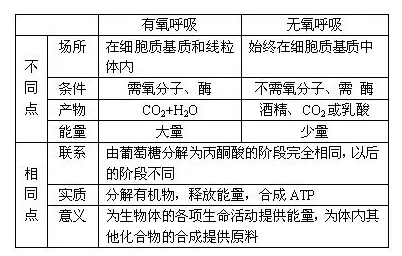 AP生物细胞呼吸考点讲解 呼吸的三个阶段比较你分的清吗内容图片_2 AP生物细胞呼吸考点讲解 呼吸的三个阶段比较你分的清吗内容图片_2