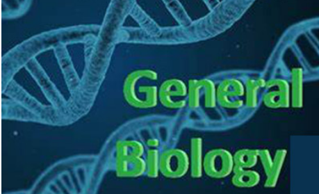 2021IGCSE生物考试想拿A* 这15条复习策略很有用内容图片_1