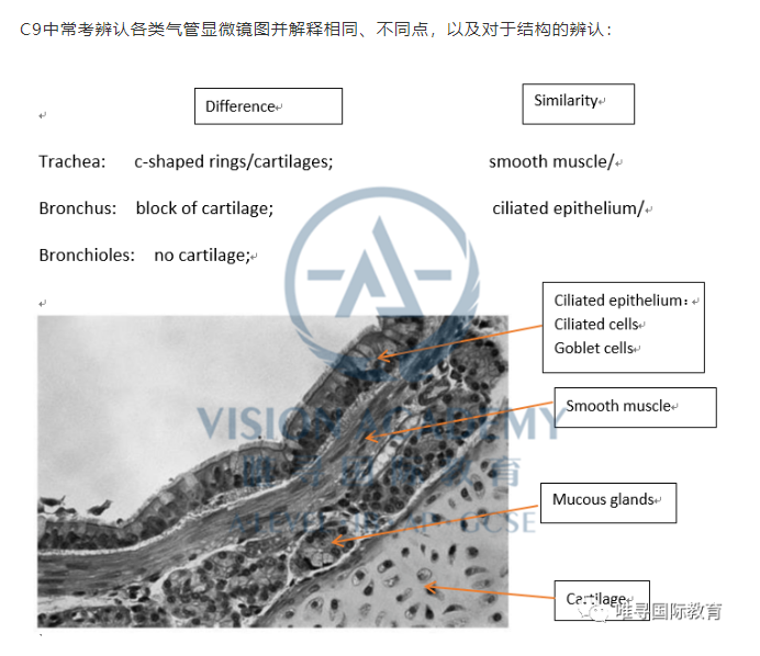AS生物考试重点总结来了 这份复习攻略错过小心A星不保内容图片_5