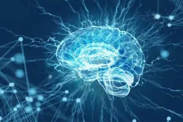 AS生物知识点分享之生物大分子  选了AL生物的你了解过吗内容图片_1