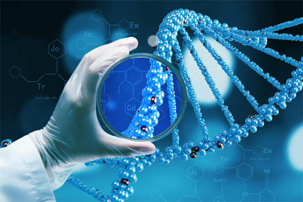 Alevel生物学习网站推荐 快来利用summer vacation给自己的生物充充电吧内容图片_1