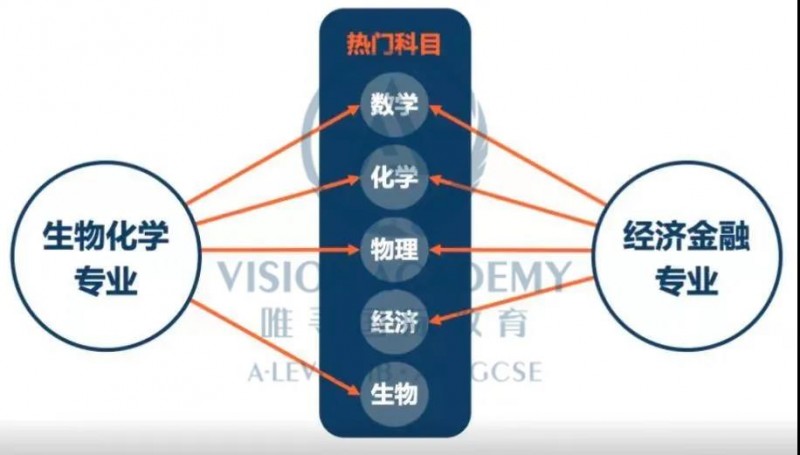 IGCSE怎么选课 从目标专业倒推能让大学申请轻松太多内容图片_5