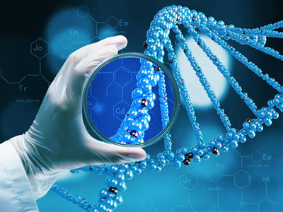 Alevel生物学习网站推荐 快来利用summer vacation给自己的生物充充电吧