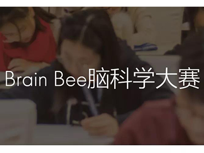 BRAIN BEE脑科学大赛真题分享 0基础也能参加的国际竞赛值得了解