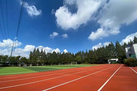 比较好的上海AP国际学校有哪些？星河湾 WLSA 西南位育等知名大学汇总介绍内容图片_3