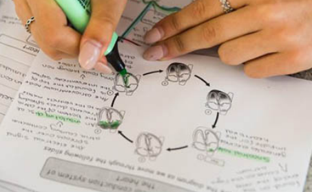 GCSE生物知识点分享 带你读懂糖尿病的来世今生内容图片_1