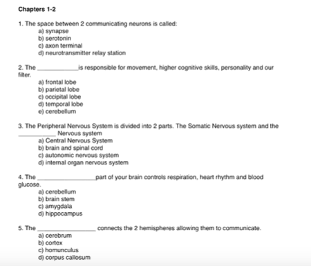 BRAIN BEE脑科学大赛真题分享 0基础也能参加的国际竞赛值得了解内容图片_3