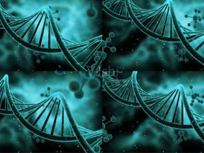 Alevel生物难点众多  用好这些方法解决你的答疑本