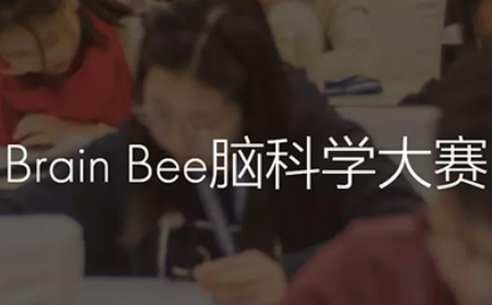 BRAIN BEE脑科学大赛真题分享 0基础也能参加的国际竞赛值得了解内容图片_1
