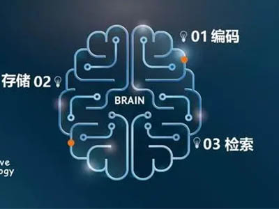 Alevel心理学Memory知识点分享 想拿A星这部分也要知晓哦