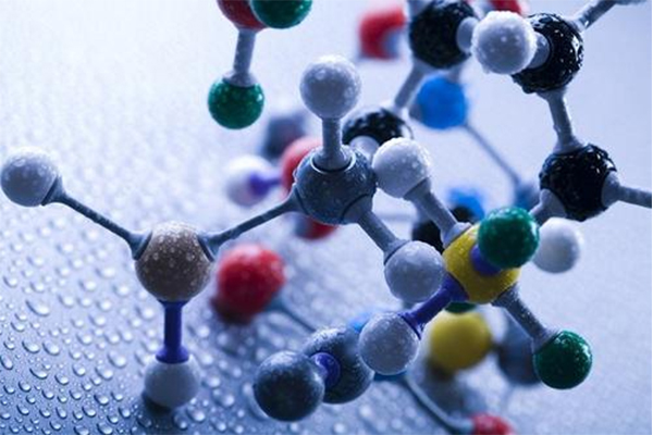 AP生物蛋白质结构知识点分享  MC考点提前来知晓了内容图片_2
