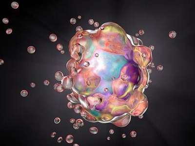 IB生物易错点分享 快来检测自己的复习进度拿7分了内容图片_1