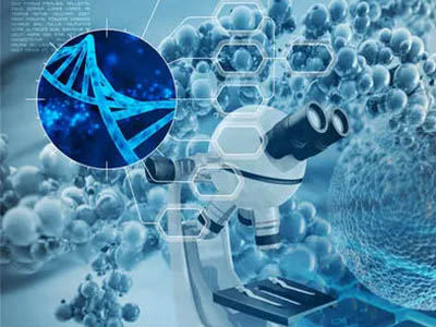 Alevel生物考试复习小技巧分享  这5个tips才是yyds内容图片_1