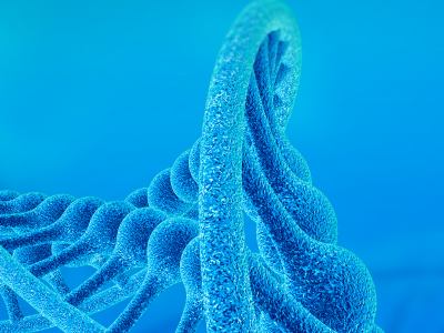 Alevel生物有丝分裂知识点讲解   5个时期要记好了内容图片_2