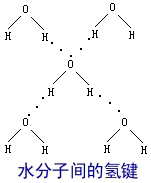 AP化学知识点温习：氢键与分子间作用力内容图片_2
