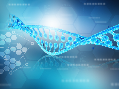 IB生物考试技巧分析  看分值才能拿到更多的分数内容图片_2