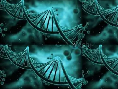 IB生物实验方法总结  12个实验方法已经整理好了