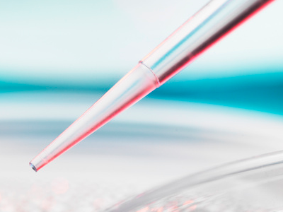 IGCSE生物知识点分享  细菌的构成分类和作用内容图片_1