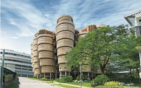 ALEVEL可以申请新加坡大学吗？没有问题但建议考C以上内容图片_1