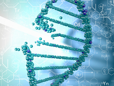 IB生物知识点讲解  基因的分离规律都给你讲清楚了