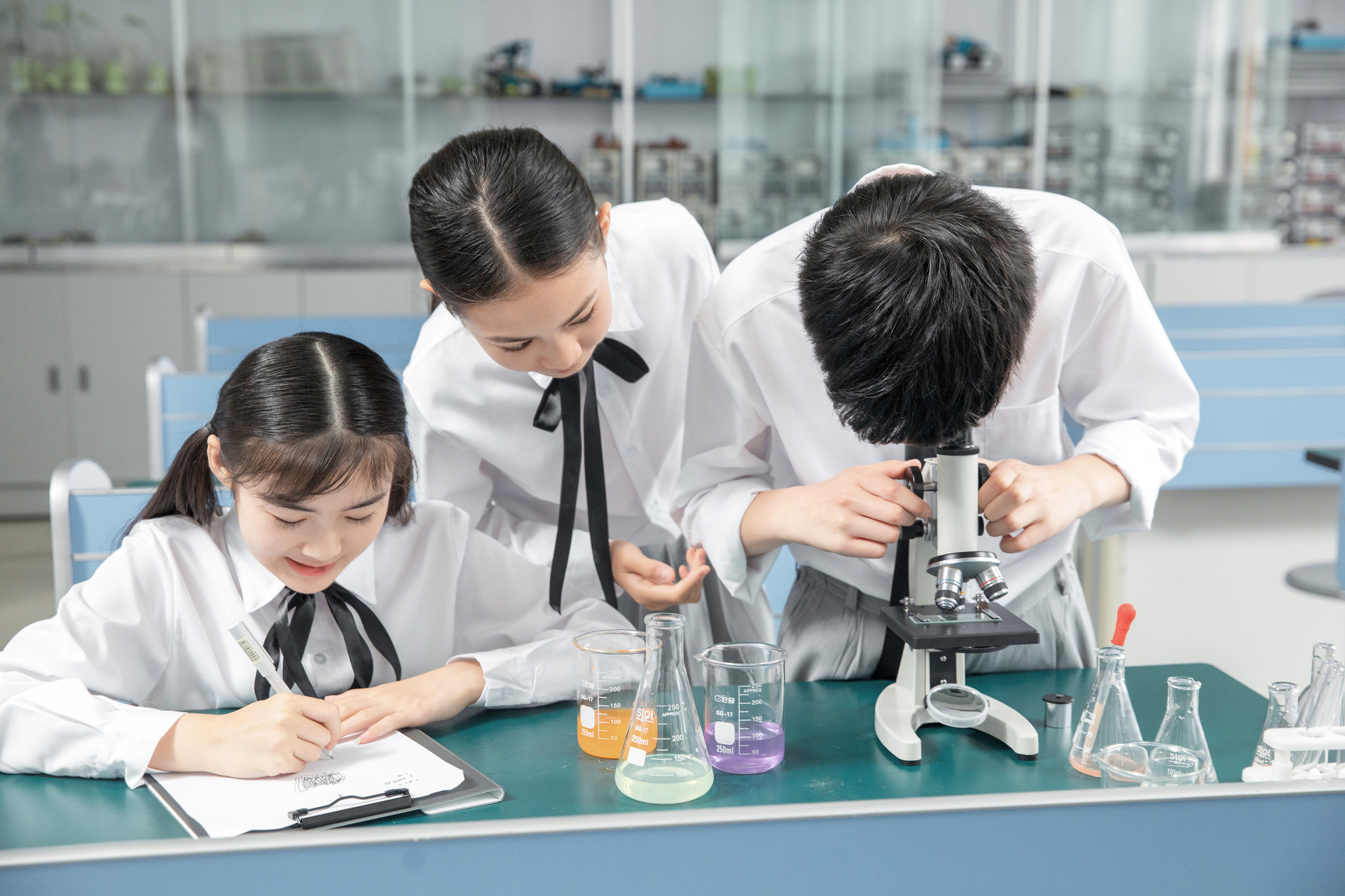 AP生物知识点细胞周期怎么学 概念总结带你理顺思路