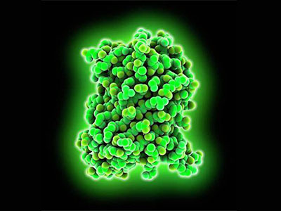 GFP相关AP生物真题解析 连学带练才能更好复习
