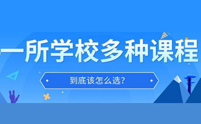 上海有哪些国际学校比较好?ALevel IB AP体系牛校盘点来啦内容图片_1