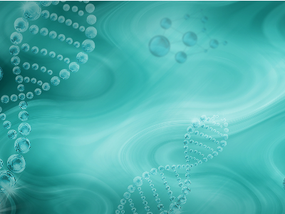AP生物知识点分享：基因分离定律内容图片_2