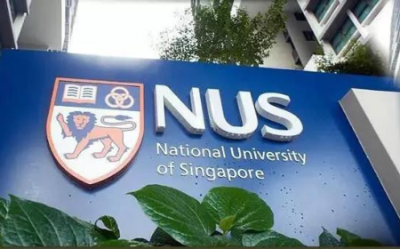 IB申请新加坡大学要考几分 单科要冲刺6-7等级内容图片_1