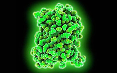 GFP相关AP生物真题解析 连学带练才能更好复习内容图片_1