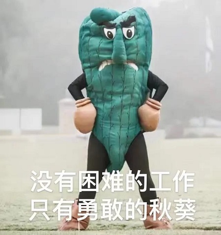 美国好的大学有哪些 上海唯寻国际教育带你从吉祥物角度认学校内容图片_7