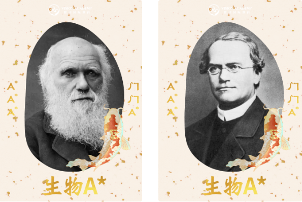 今日ALEVEL出分放榜,转发笛卡尔 爱因斯坦等大佬帮你送好运内容图片_8