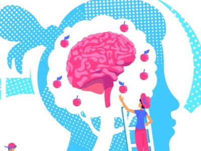Alevel心理学社会影响知识点分享  这几个理论和实验要记住